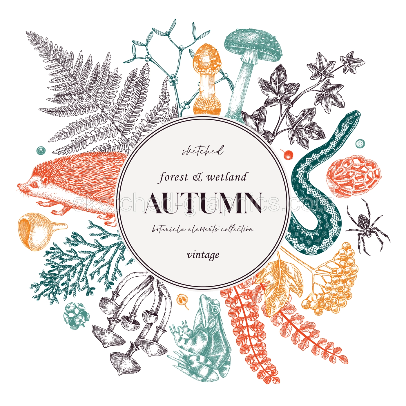 Autumn card or invitation. Forest plants design. Fall wreath with fall leaves and woodland animals. Falling leaves, mushrooms, ferns sketches. Hand drawn vector illustration Illustration